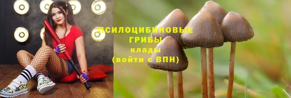 ALPHA-PVP Белокуриха