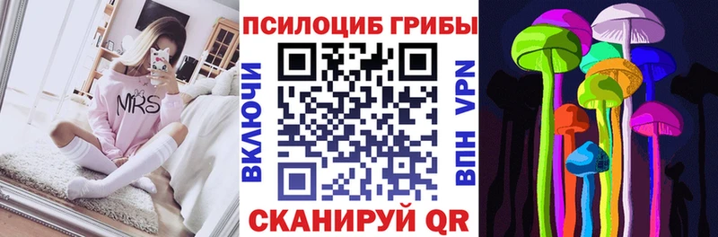закладка  Бузулук  Галлюциногенные грибы Psilocybine cubensis 